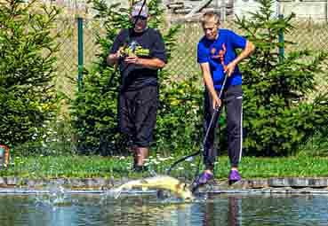 IMG-20230711-WA0026